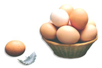 Basket of Eggs